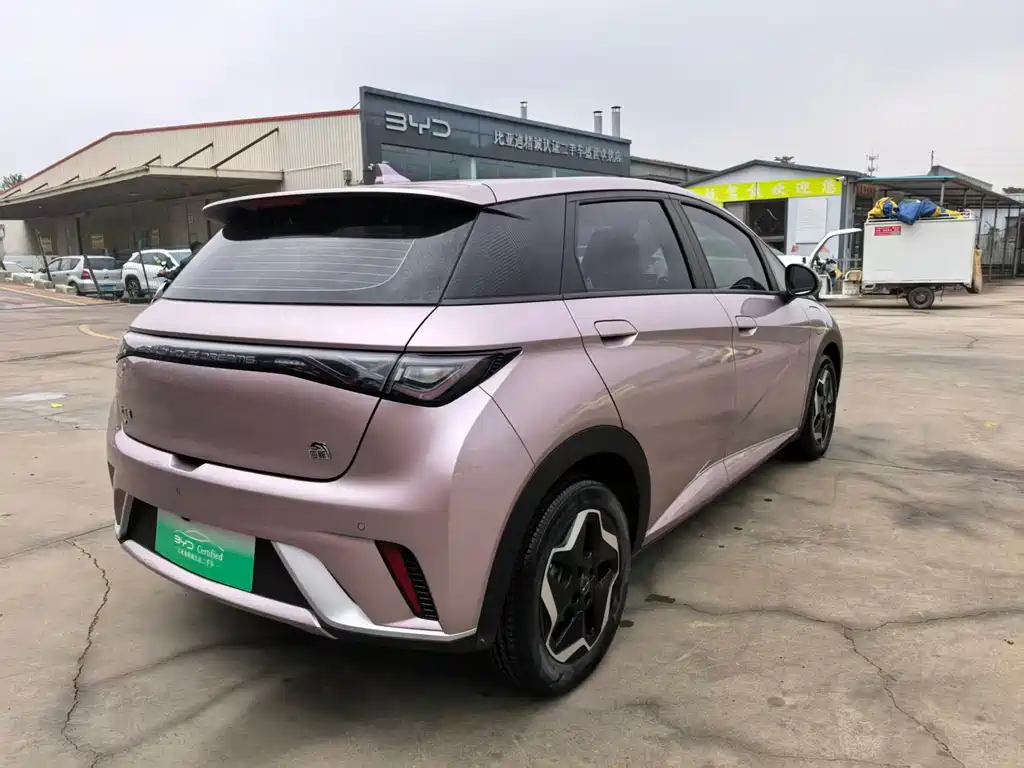 BYD Dolphin — миниатюра 8