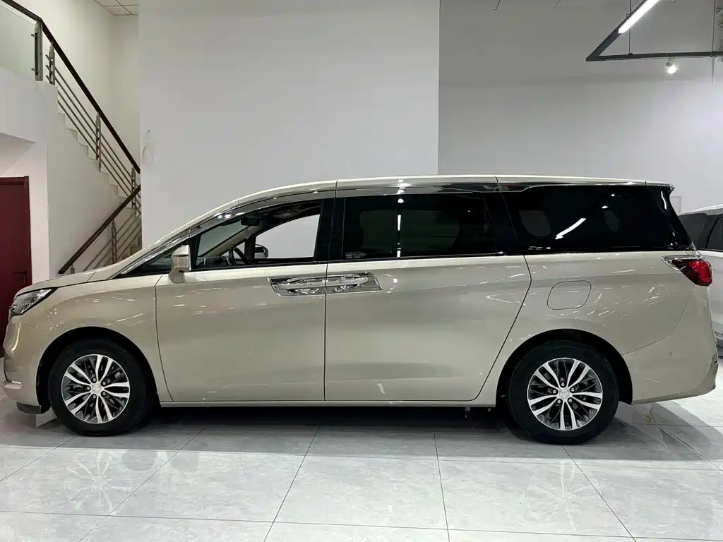 Buick GL8 — миниатюра 21
