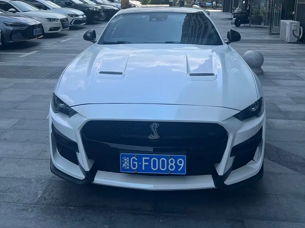 Ford Mustang — миниатюра 2