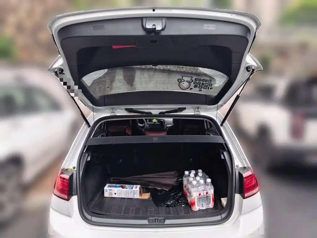 Volkswagen Golf — миниатюра 15