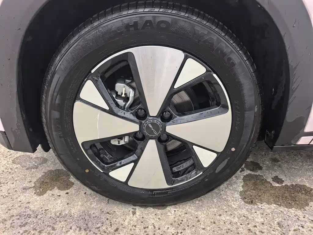 BYD Dolphin — миниатюра 10