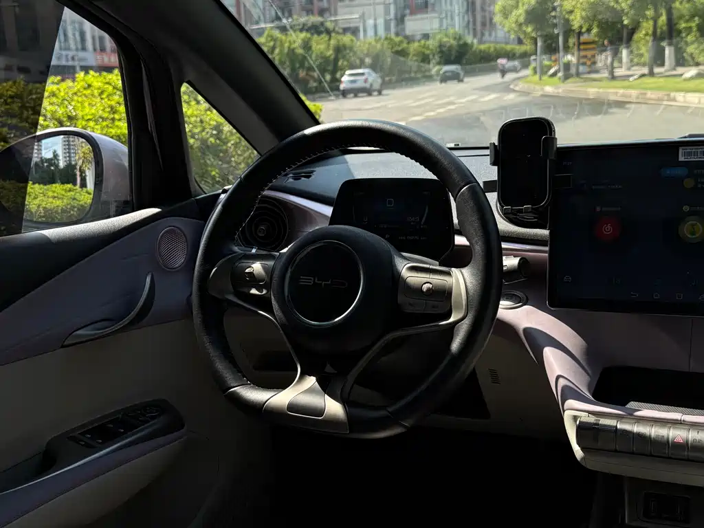BYD Dolphin — миниатюра 13