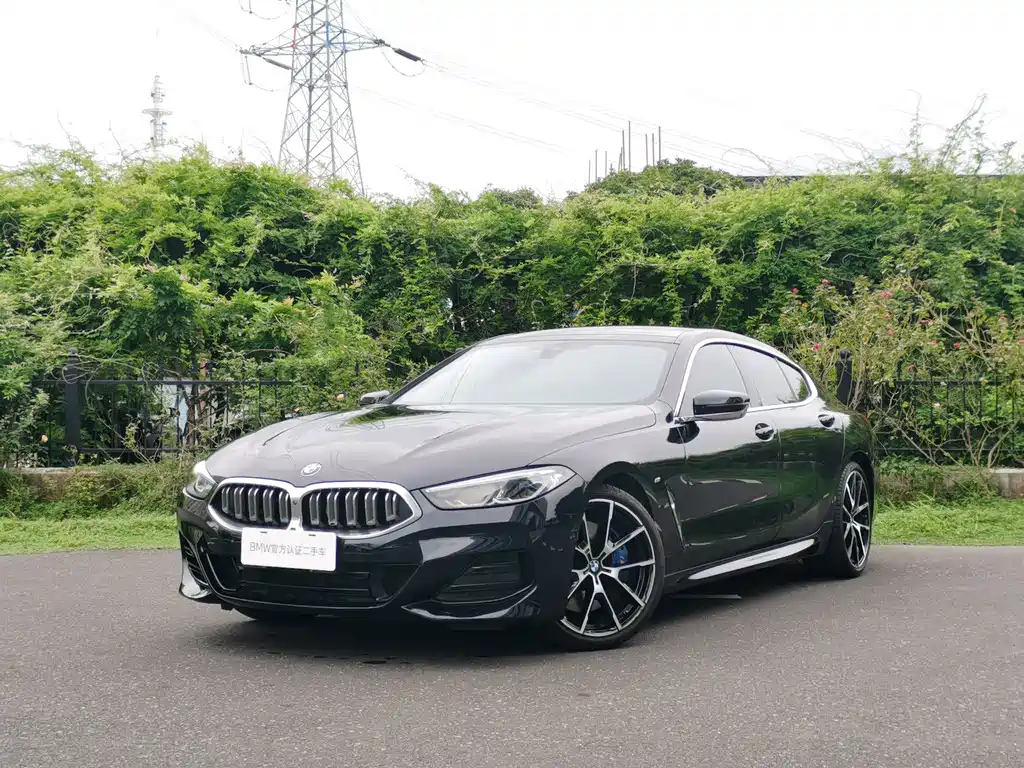 BMW 8 Series — миниатюра 6