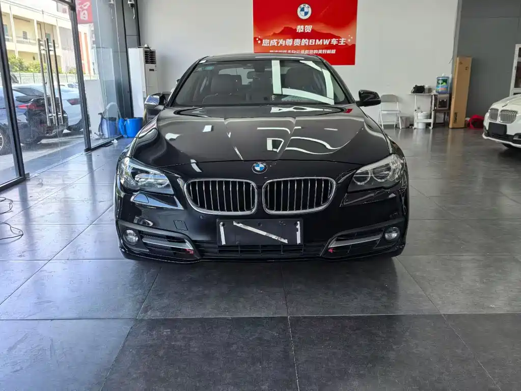 BMW 5 Series — миниатюра 2