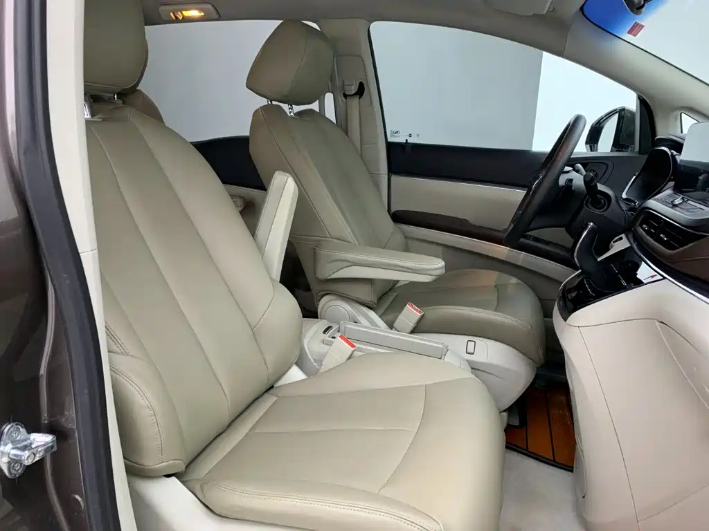 Buick GL8 — миниатюра 14