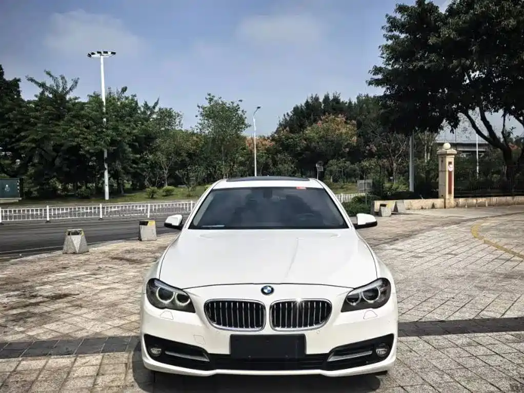 BMW 5 Series — миниатюра 2