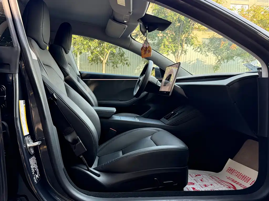 Tesla Model 3 — миниатюра 8