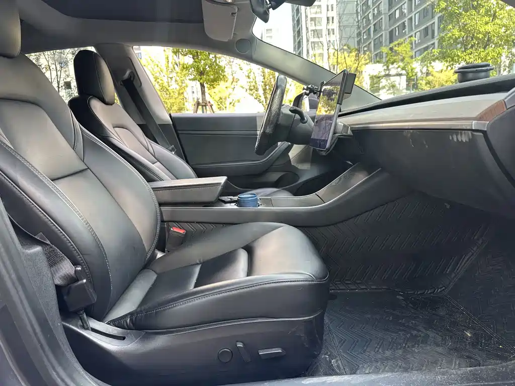 Tesla Model 3 — миниатюра 11