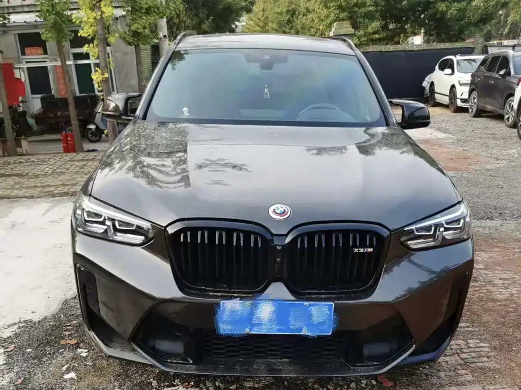 BMW X3 M — миниатюра 2