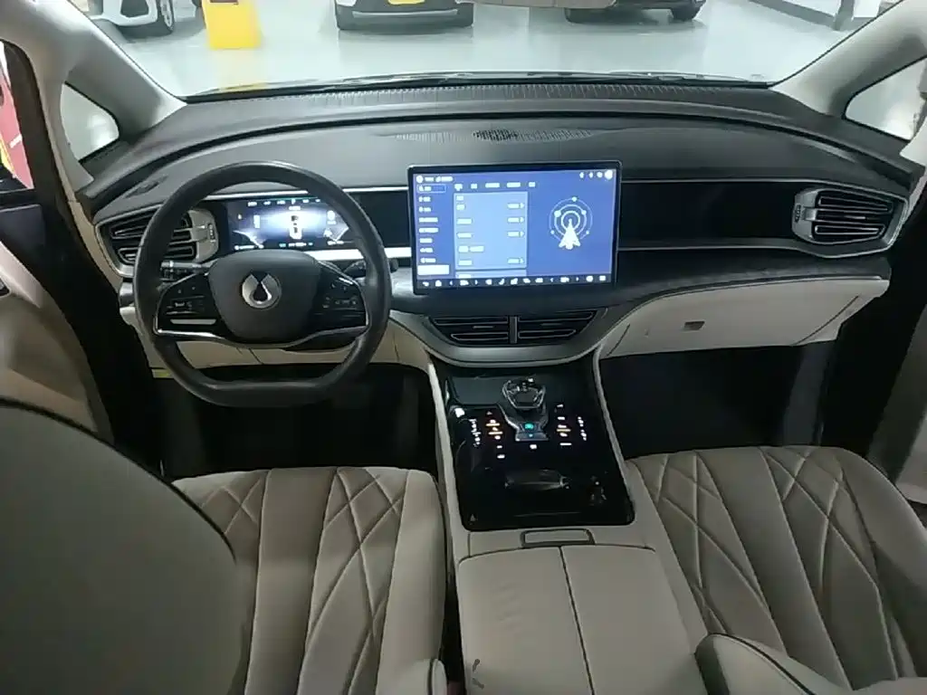 Denza Denza D9 — миниатюра 10