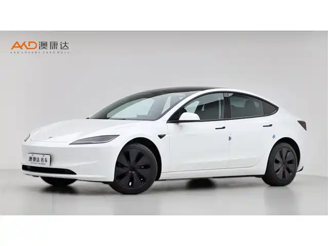TESLA MODEL 3 2025