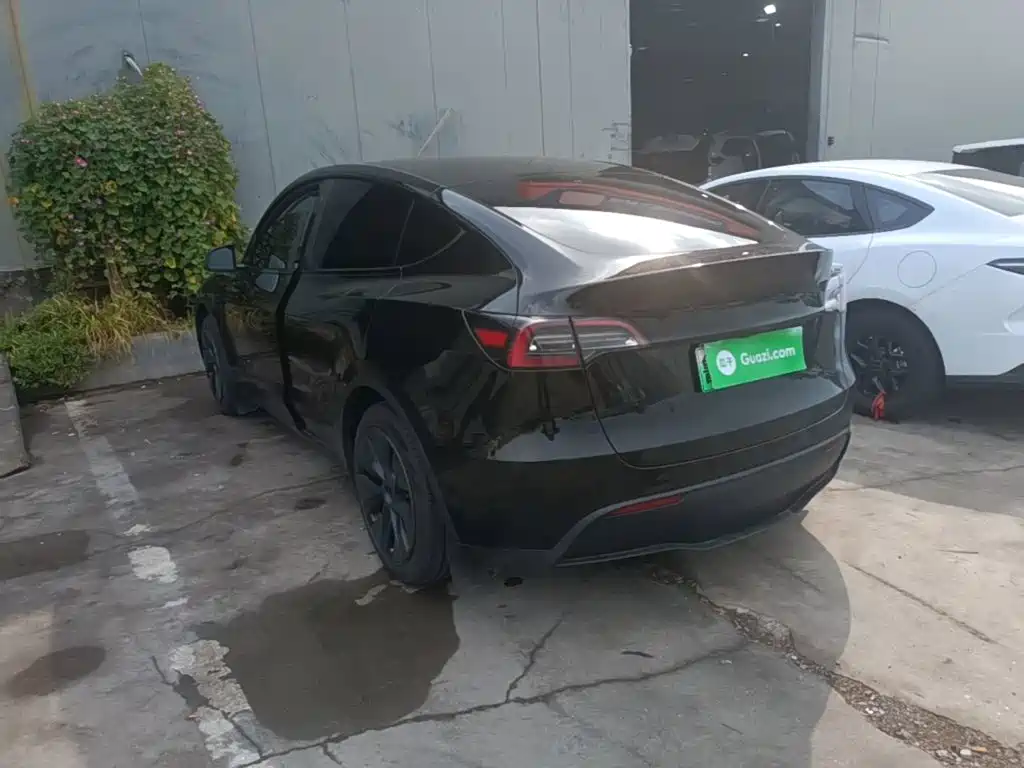 Tesla Model Y — миниатюра 5