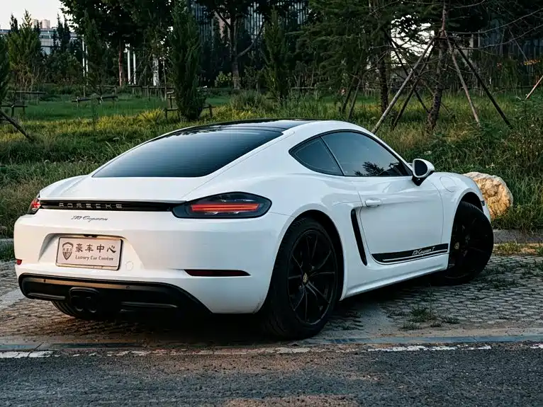 Porsche 718 — миниатюра 4