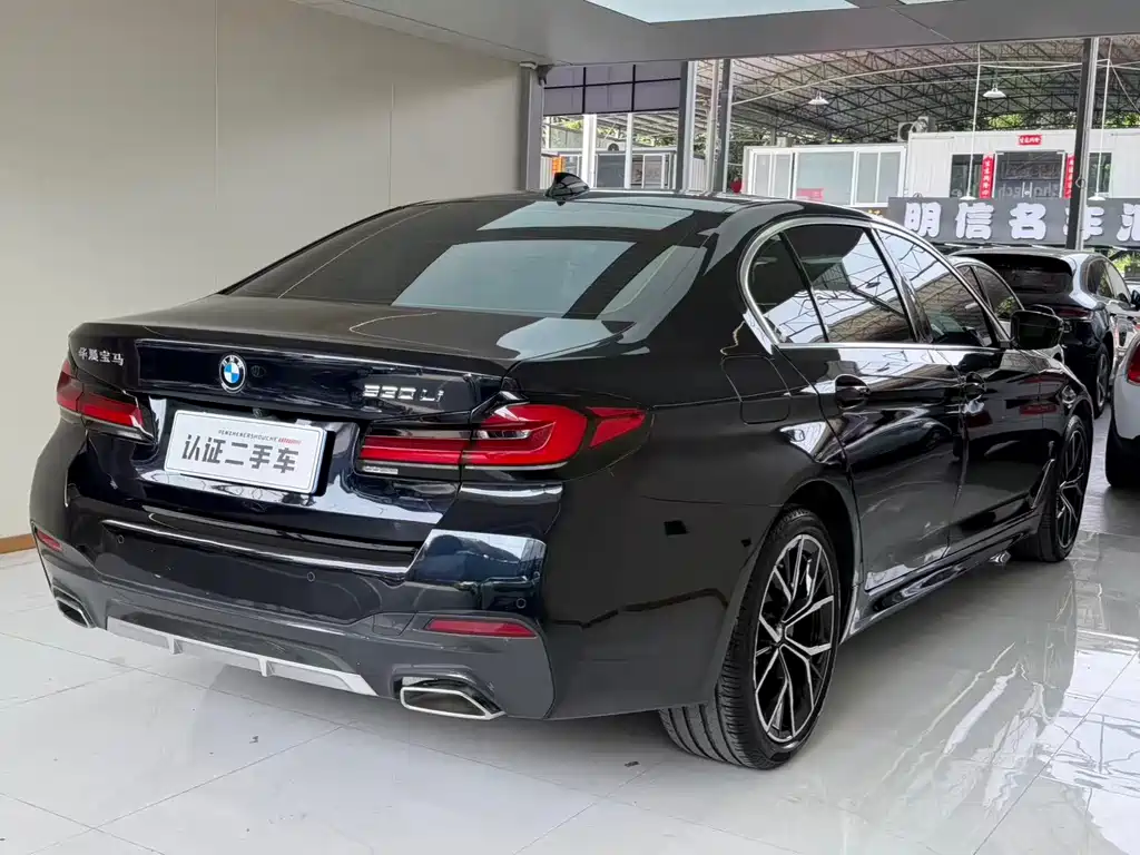 BMW 5 Series — миниатюра 23