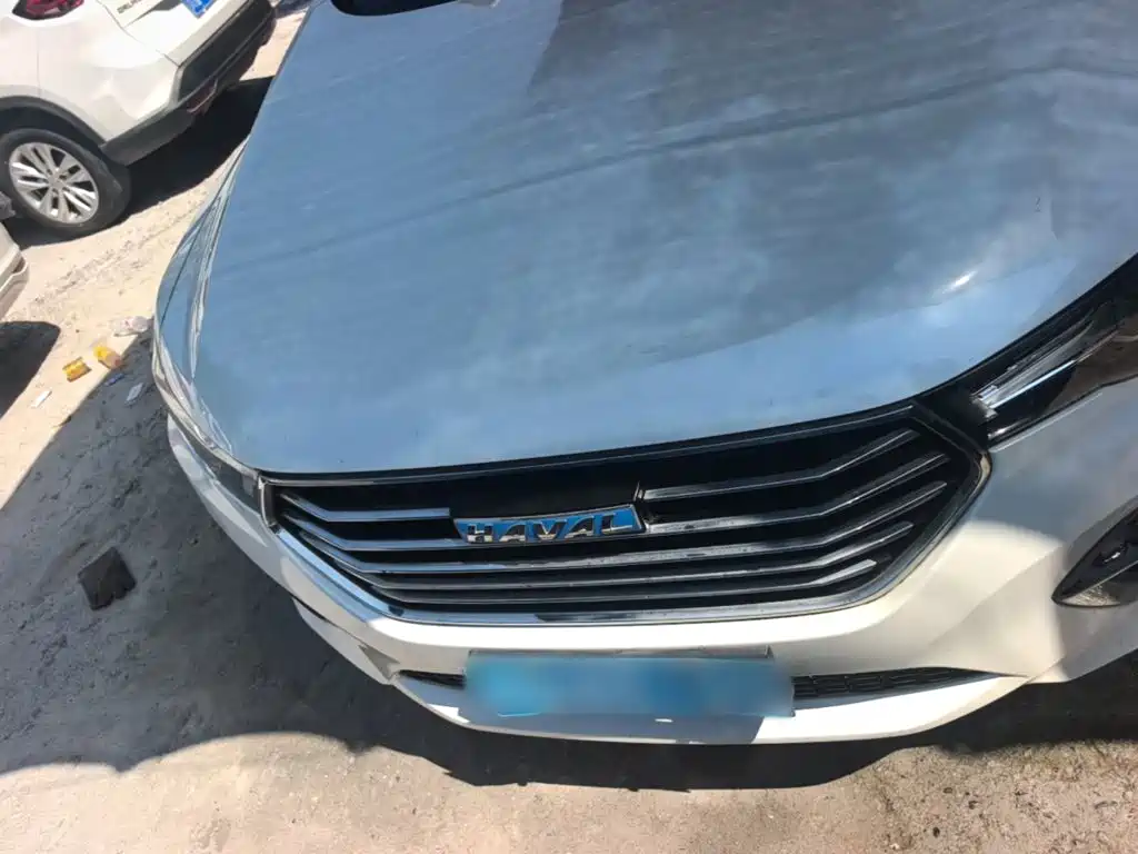 Haval H4 — миниатюра 3