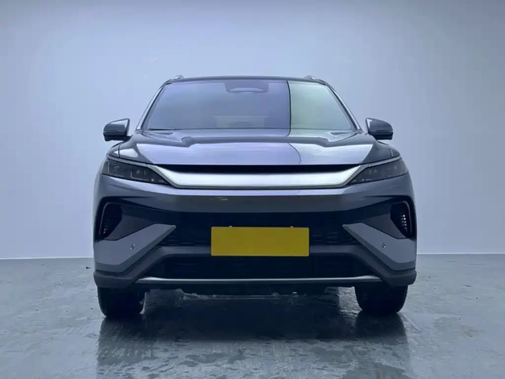 BYD Pro New Energy — миниатюра 2