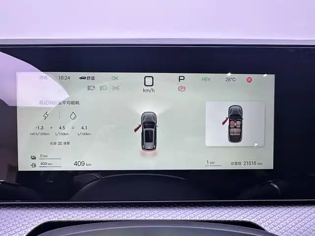 BYD Pro New Energy — миниатюра 10