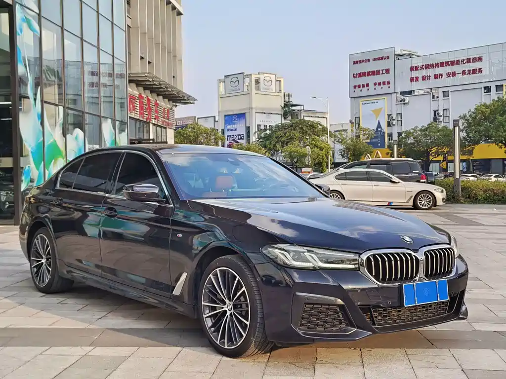 BMW 5 Series — миниатюра 3