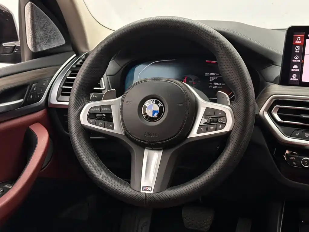 BMW X3 — миниатюра 12