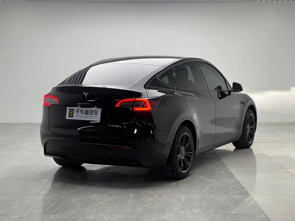 Tesla Model Y — миниатюра 6