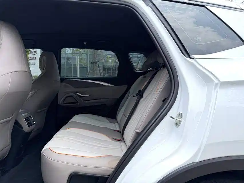 BYD Pro New Energy — миниатюра 11