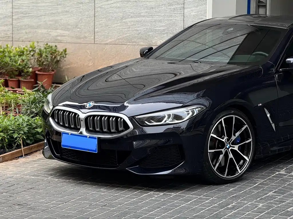 BMW 8 SERIES
