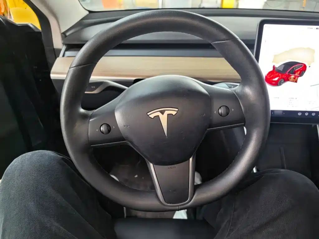 Tesla Model 3 — миниатюра 11