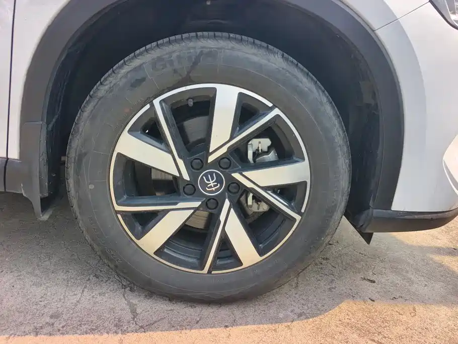 BYD Pro New Energy — миниатюра 6