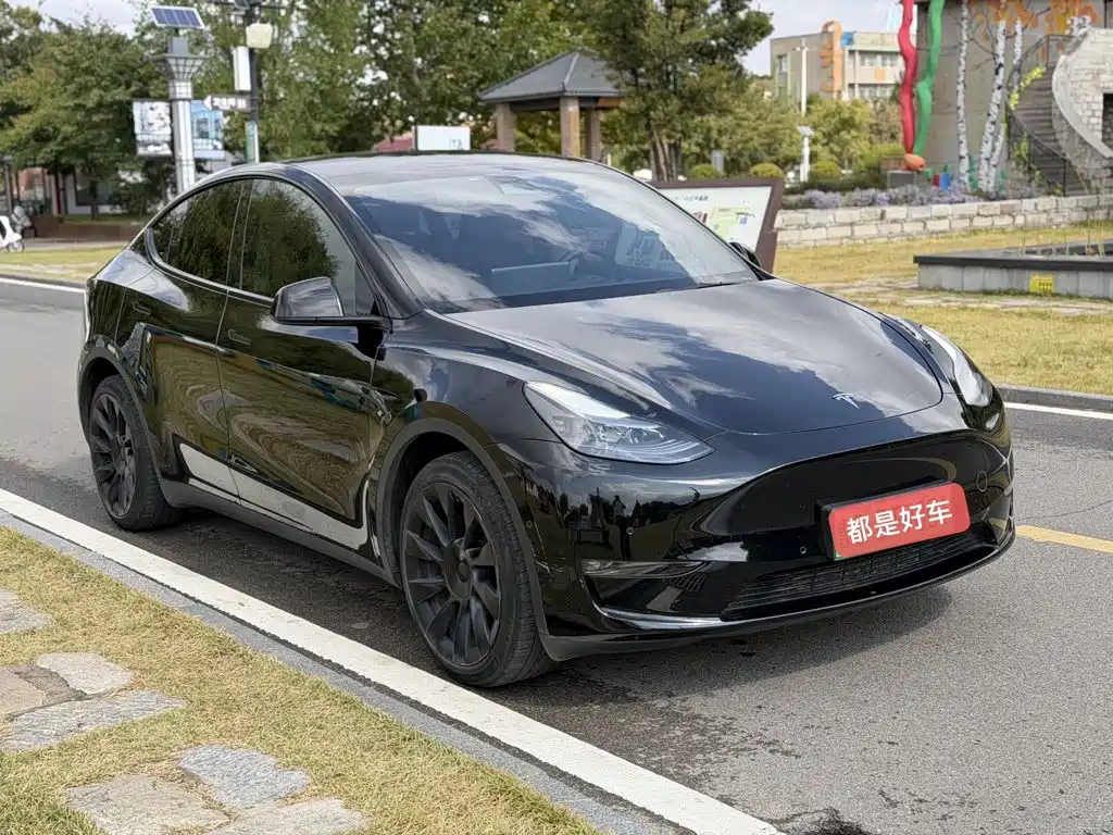 Tesla Model Y — миниатюра 3