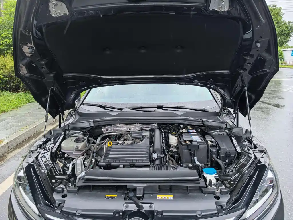 Volkswagen Lamando — миниатюра 12