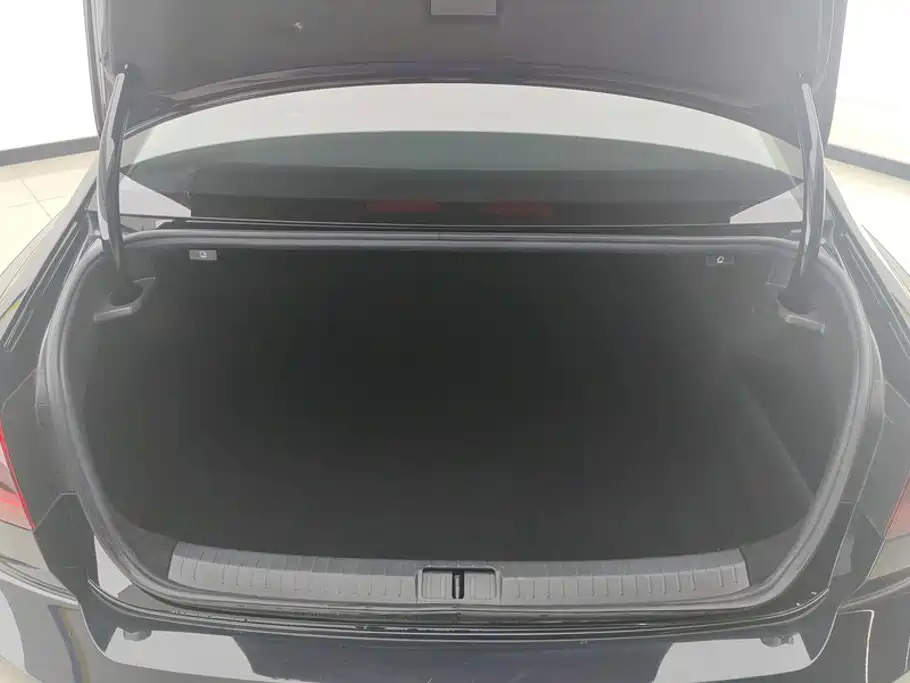 Volkswagen Magotan — миниатюра 4