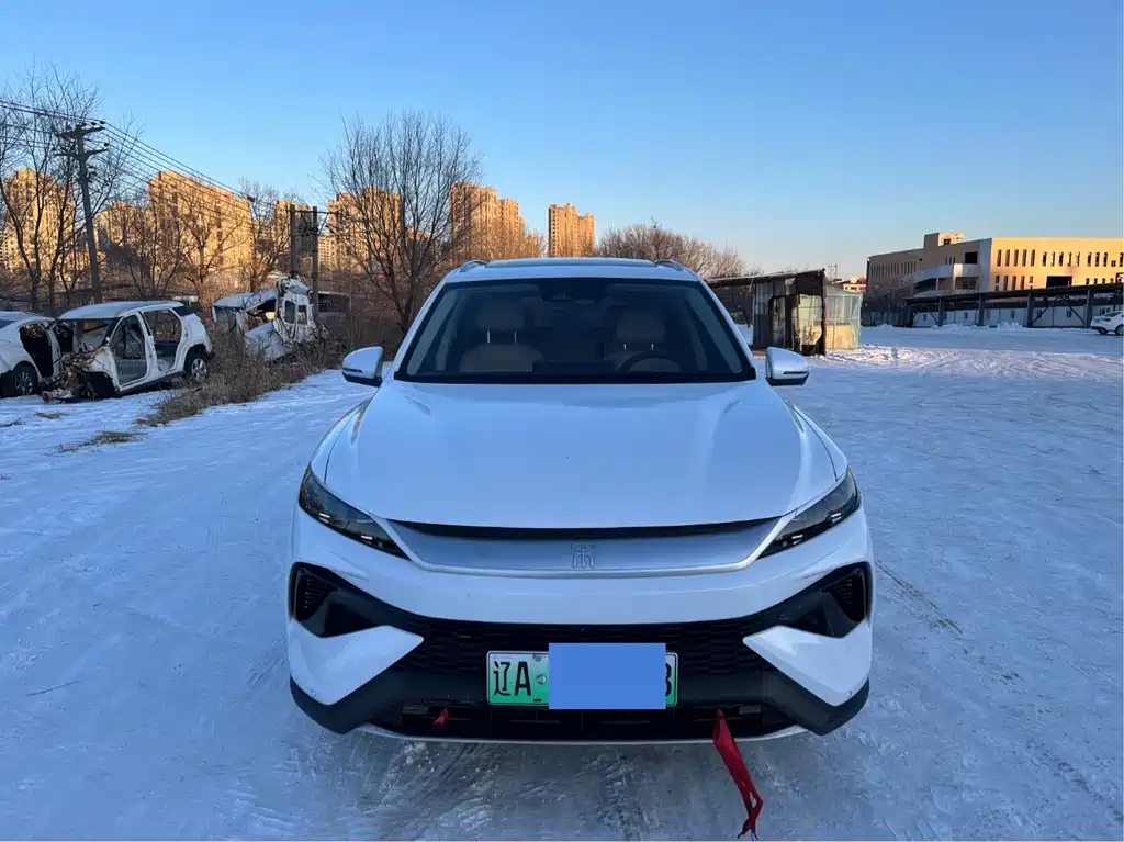 BYD SONGJIANG NEW ENERGY