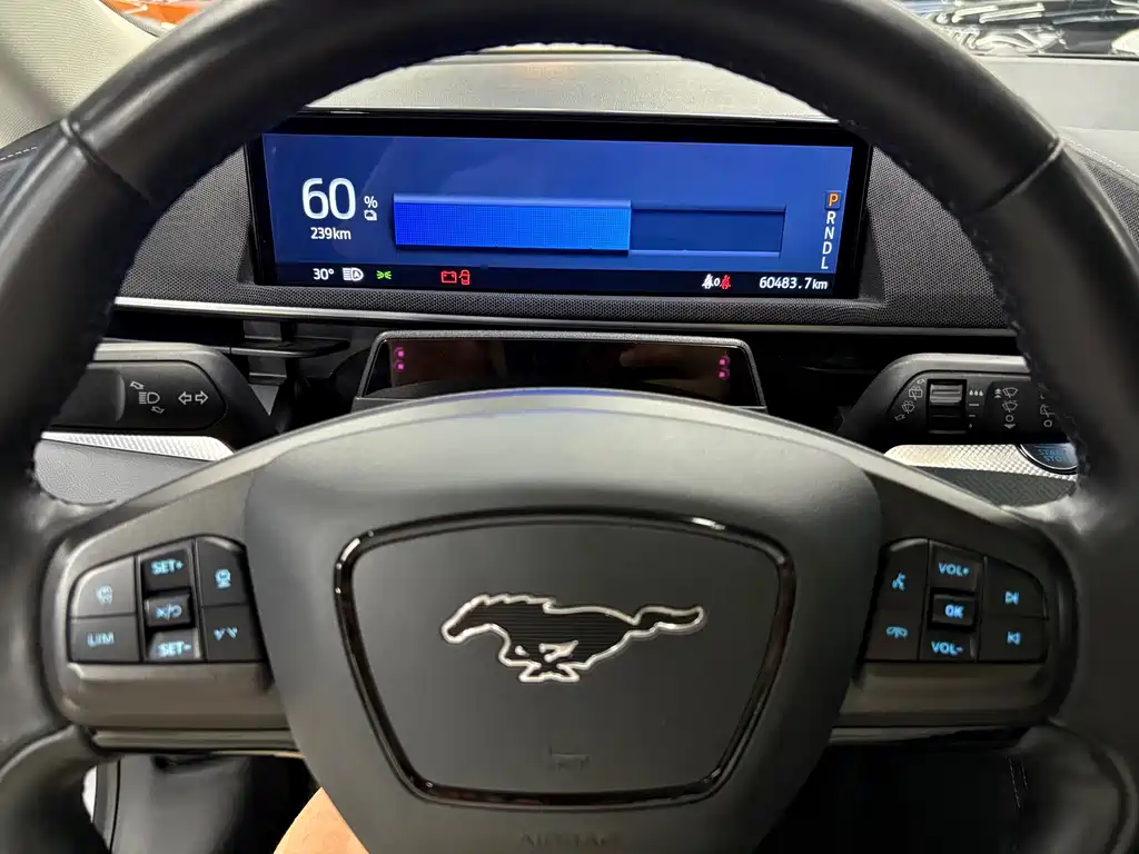 Ford Mustang Mach-E — миниатюра 11