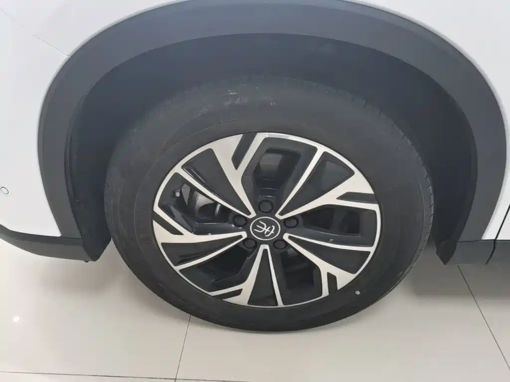 BYD Pro New Energy — миниатюра 23