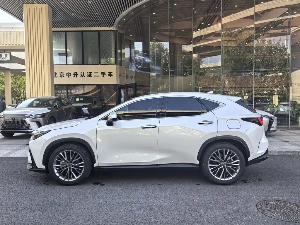 Lexus NX New Energy — миниатюра 2