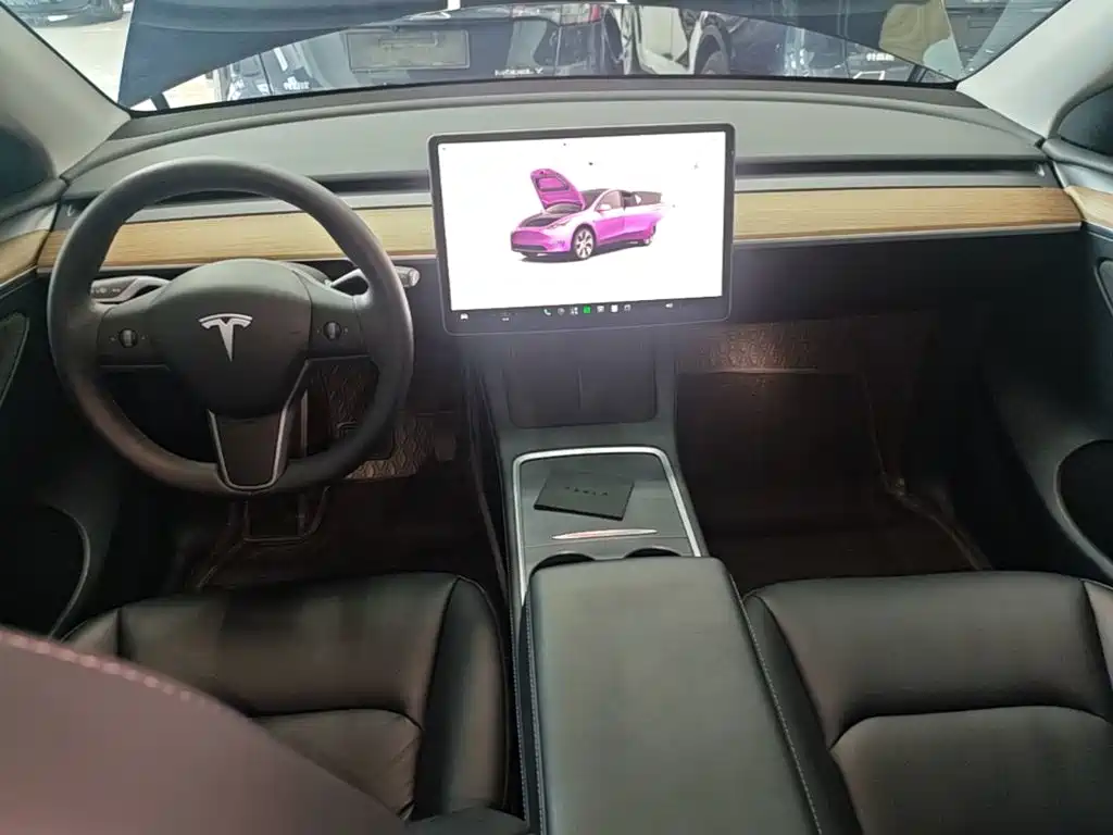 Tesla Model Y — миниатюра 10
