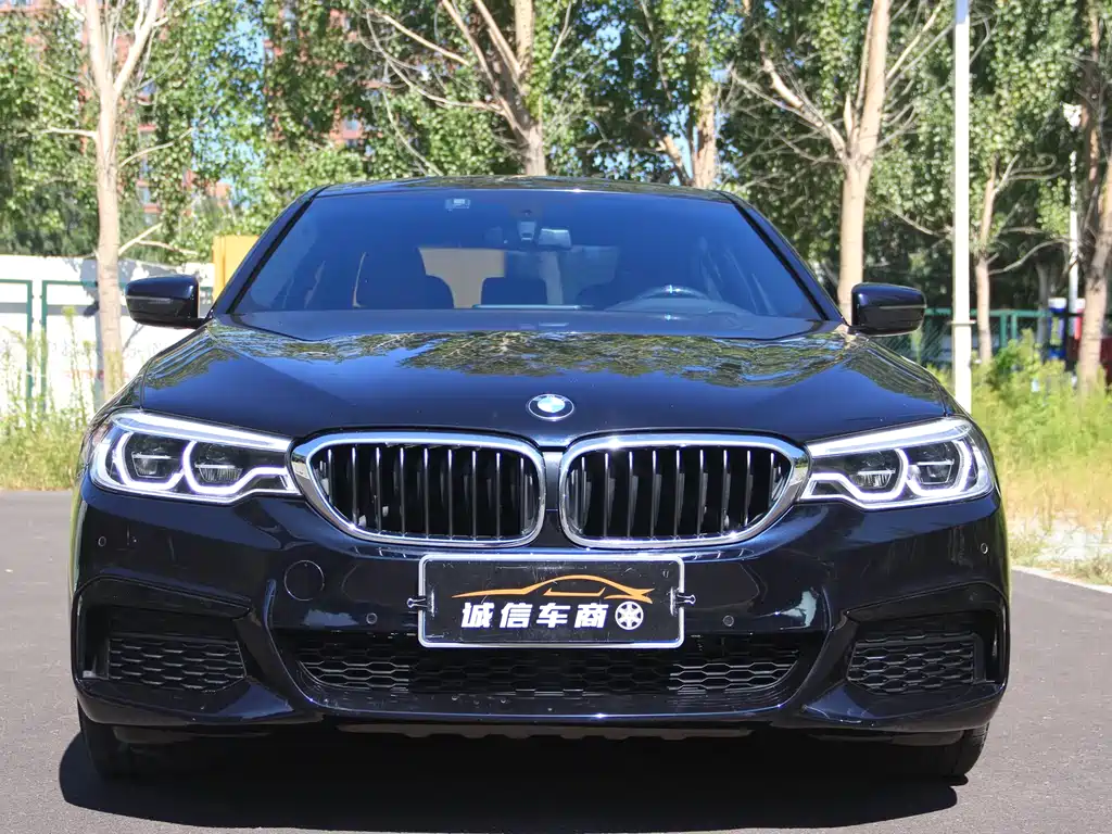 BMW 5 Series — миниатюра 2