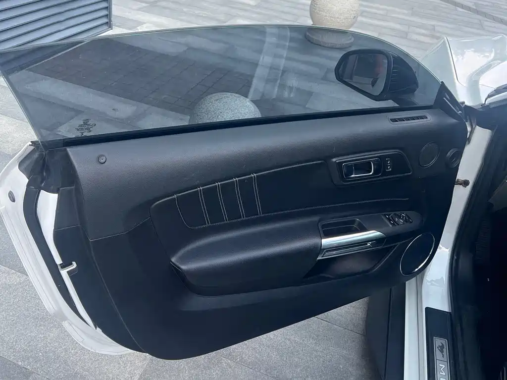 Ford Mustang — миниатюра 8
