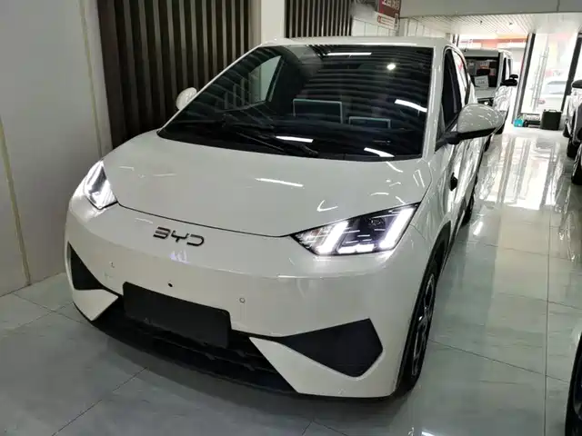 2025 BYD Seagull