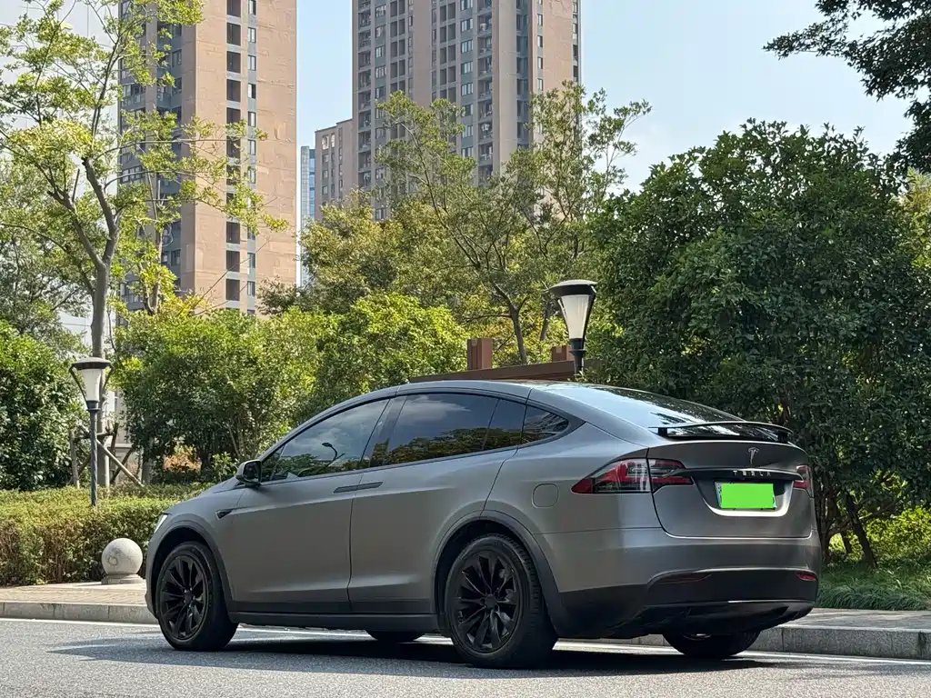 Tesla Model X — миниатюра 14