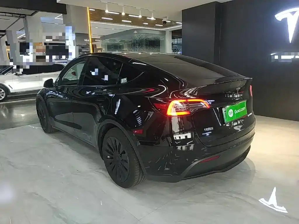 Tesla Model Y — миниатюра 5