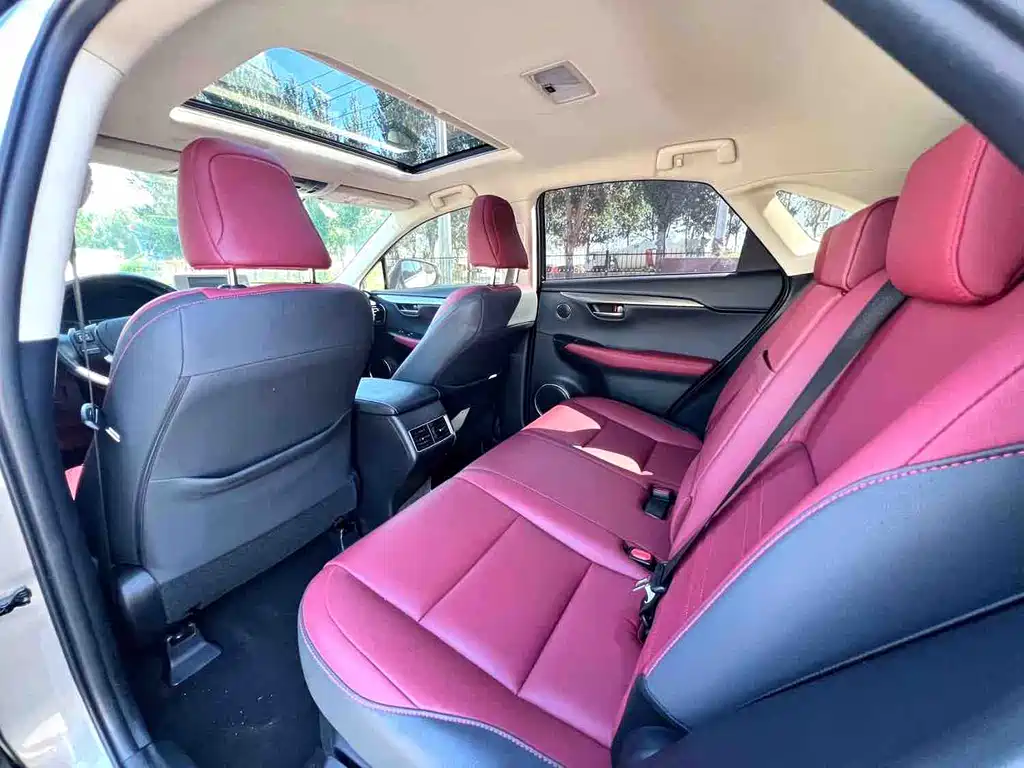 Lexus NX — миниатюра 15