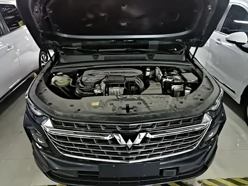 Wuling Victory — миниатюра 20