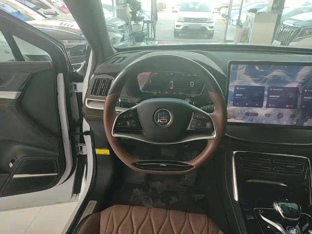 BYD Tang New Energy — миниатюра 11
