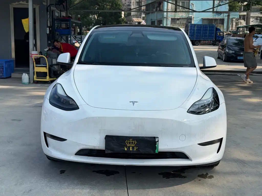 Tesla Model Y — миниатюра 2