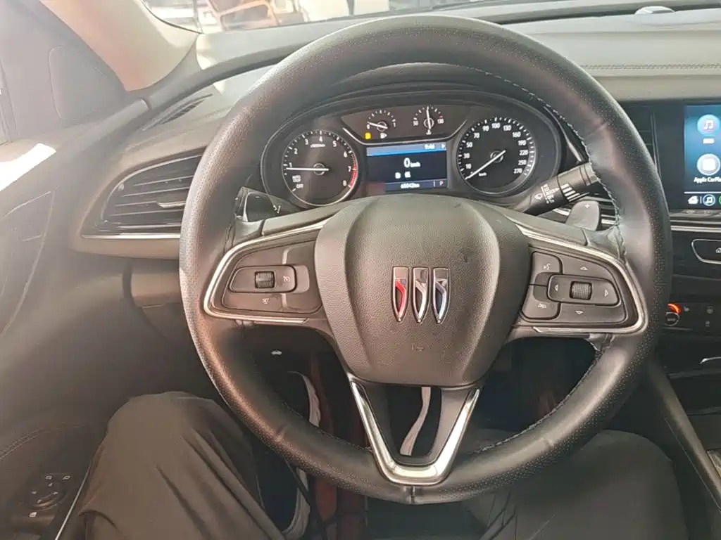 Buick Regal — миниатюра 11