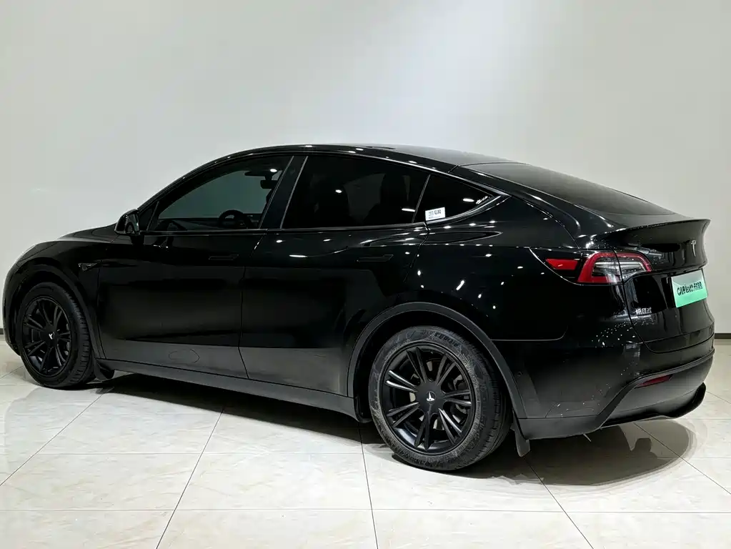 Tesla Model Y — миниатюра 18