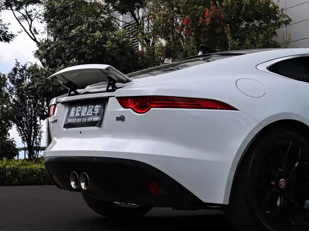 Jaguar F-TYPE — миниатюра 6