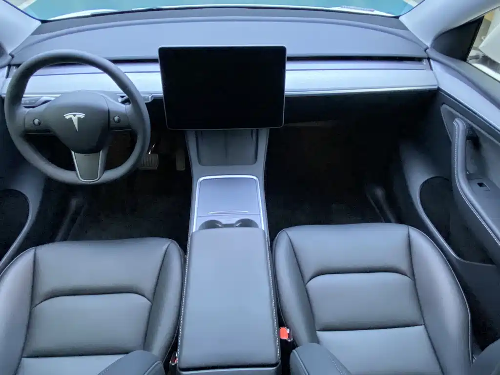 Tesla Model Y — миниатюра 6