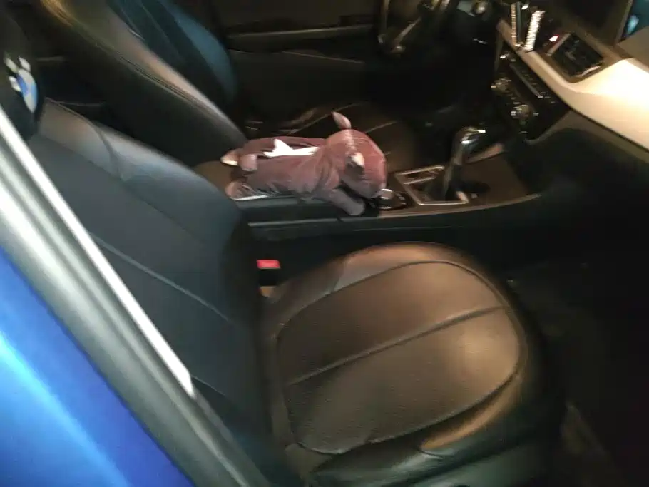 BMW 1 Series — миниатюра 8